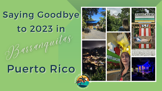 32- Saying Goodbye to 2023 at #airbnb Finca Victoria Luxury Cabin in #barranquitas, #puertorico