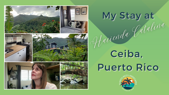 34- My Stay at Hacienda Catalina #airbnb in Ceiba, #puertorico