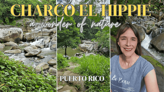 33- The Wonder of "Charco El Hippie" in #naguabo, #puertorico