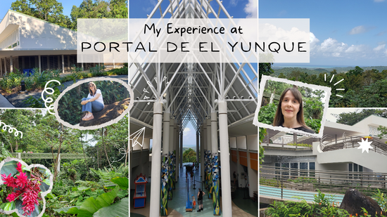 30- My Experience at "Portal de El Yunque" in Rio Grande, Puerto Rico