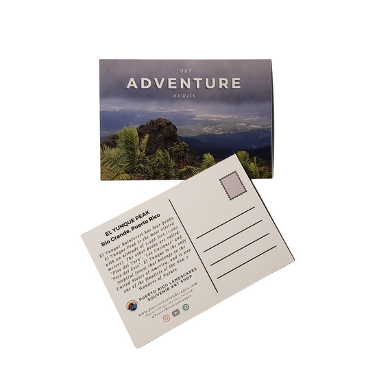 El Yunque Peak View Mail Postcard