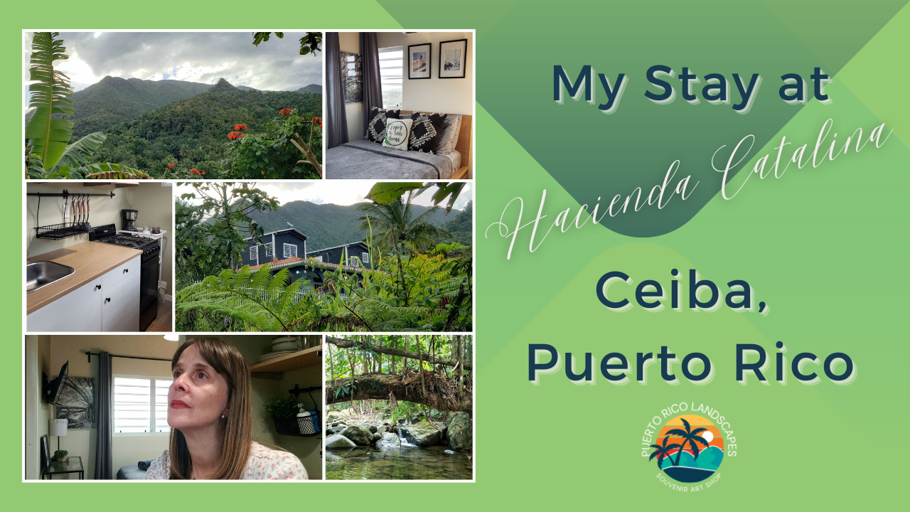 34- My Stay at Hacienda Catalina #airbnb in Ceiba, #puertorico