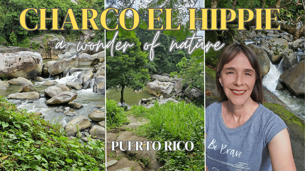 33- The Wonder of "Charco El Hippie" in #naguabo, #puertorico