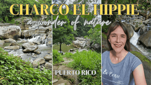 33- The Wonder of "Charco El Hippie" in #naguabo, #puertorico