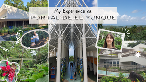 30- My Experience at "Portal de El Yunque" in Rio Grande, Puerto Rico