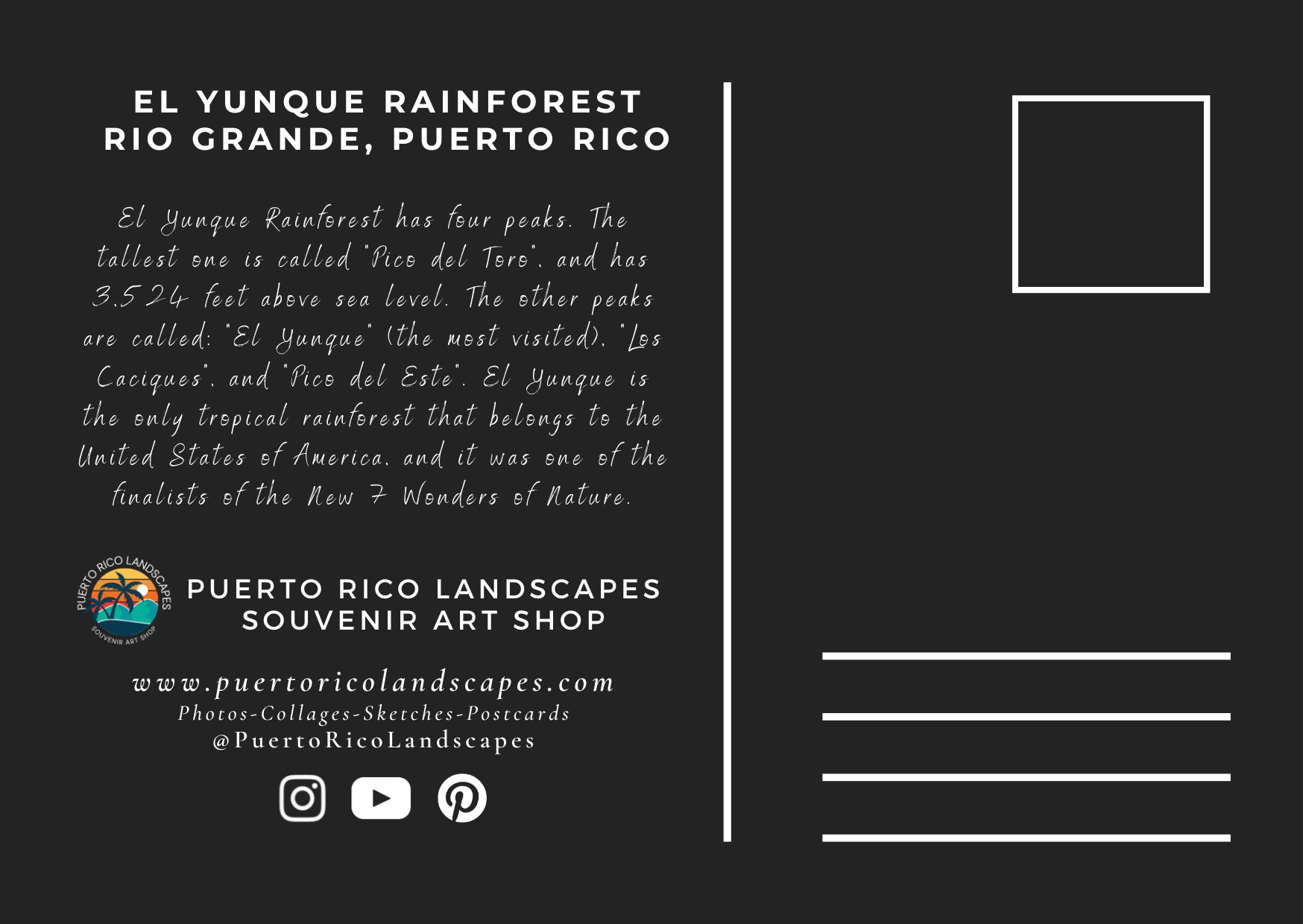 El Yunque Rain Forest Mail Postcard Back