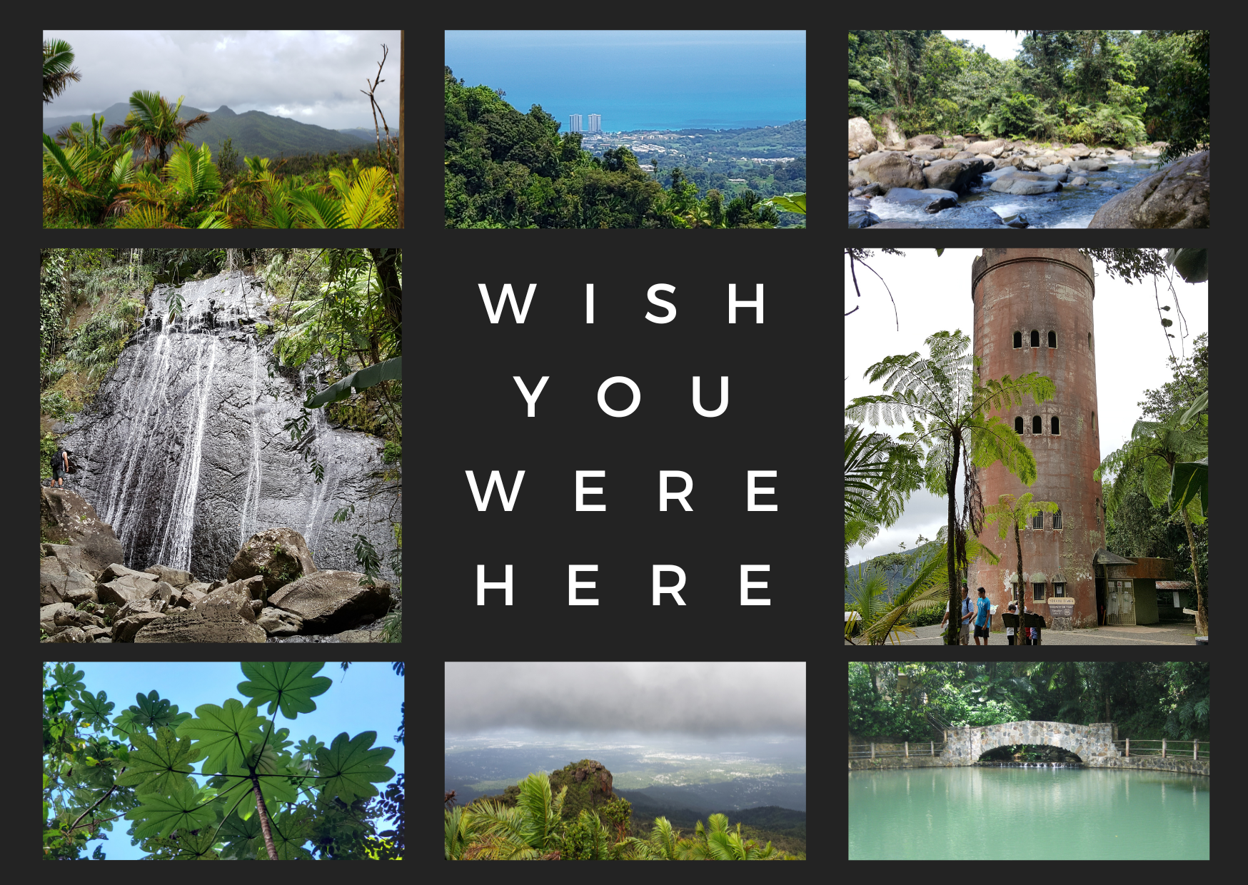 El Yunque Rain Forest Mail Postcard Front