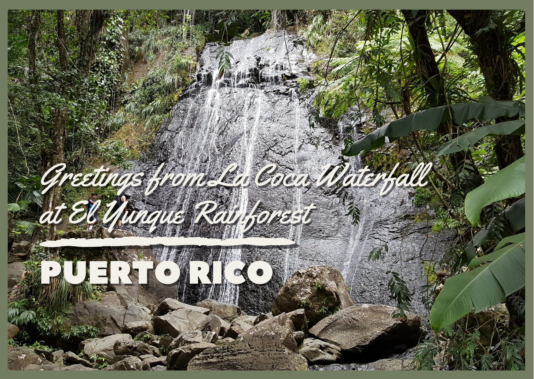 La Coca Falls Mail Postcard Front