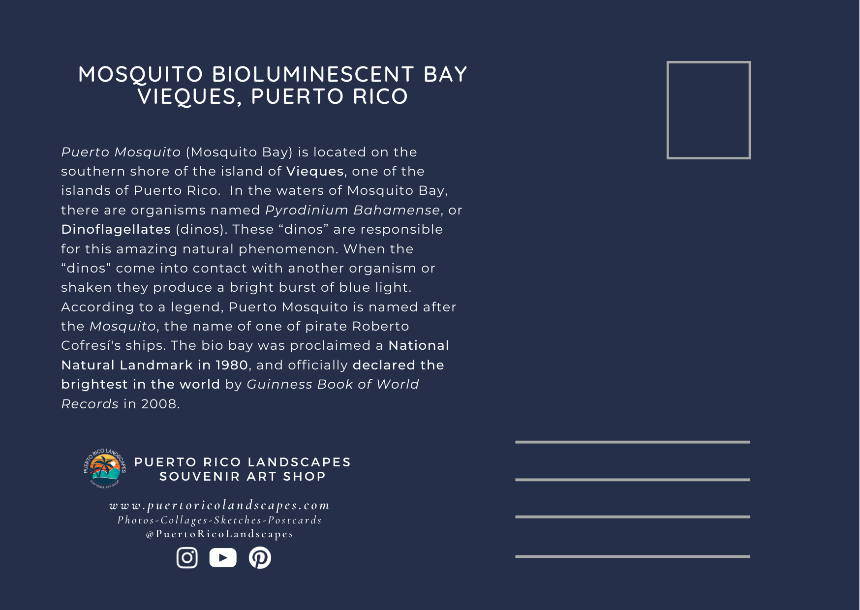 Mosquito BioBay Mail Postcard Front