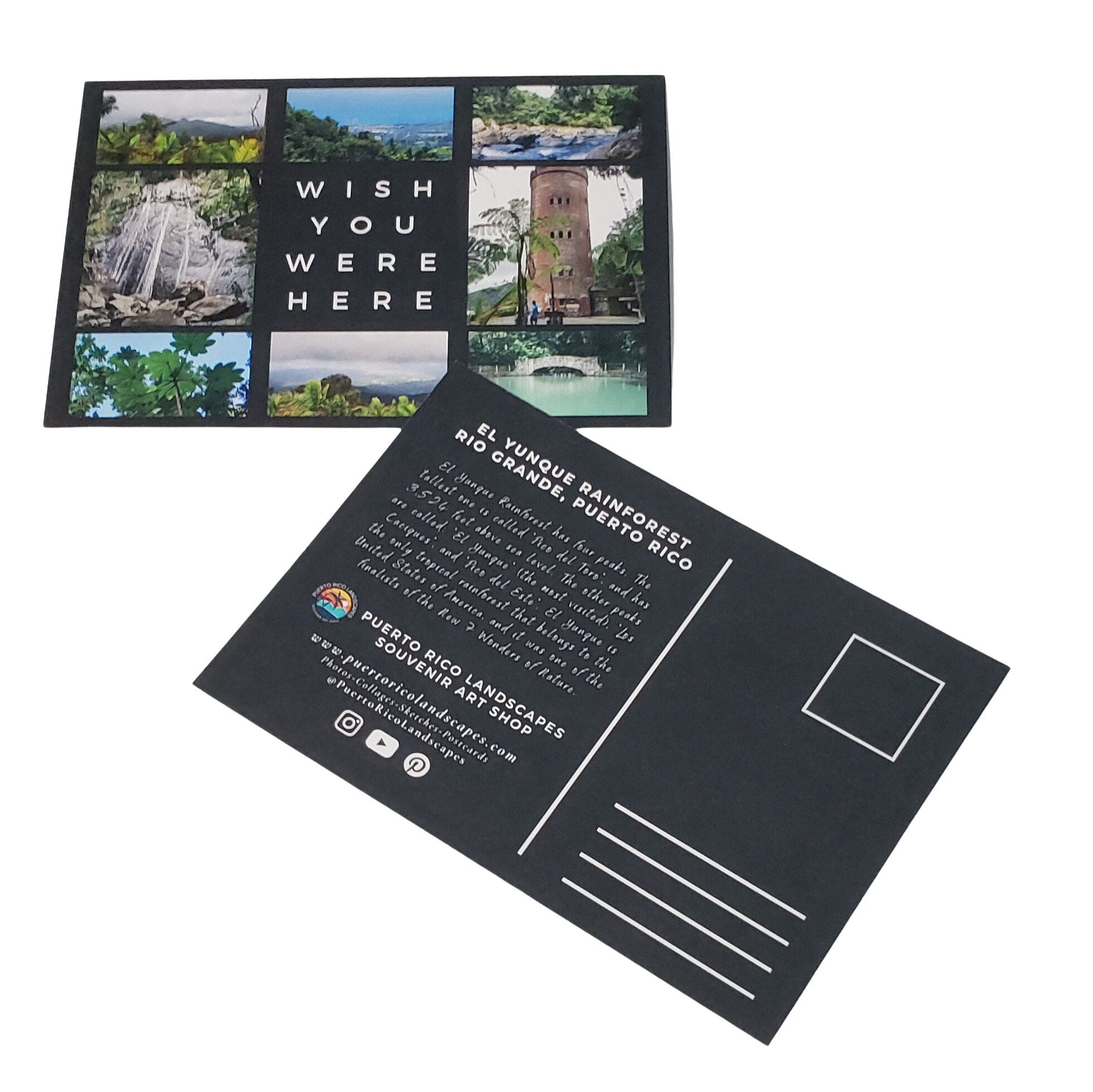 El Yunque Rain Forest Mail Postcard