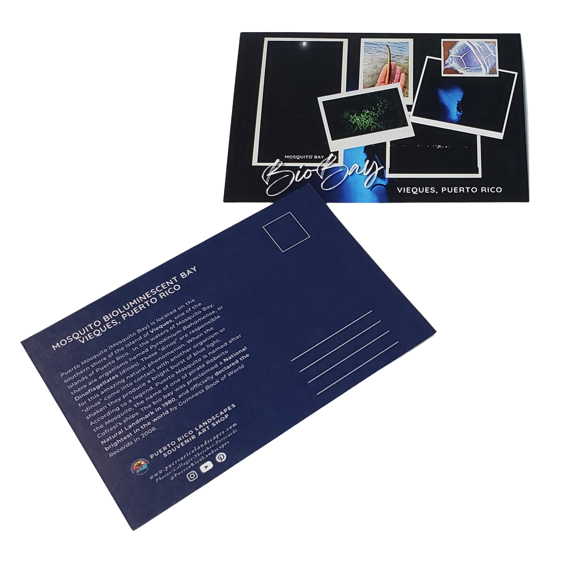 Mosquito BioBay Mail Postcard