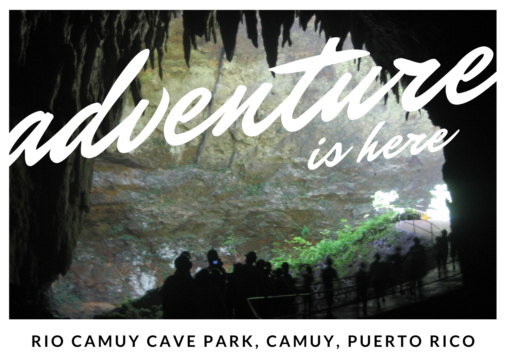 Rio Camuy Cave Park Mail Postcard Front